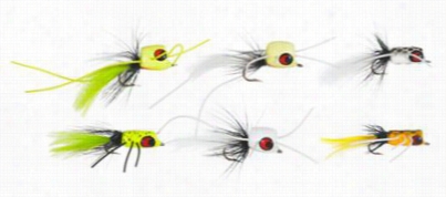 Exist  Tts 6 Pack Poppers - Bass/bream