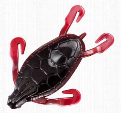 Bombshell Turtle Hybrid - 3' - Red Hsad