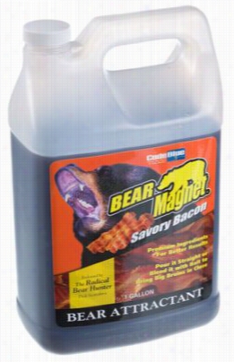 Code Blue Bear Magnet - 1 Gallon Bacon