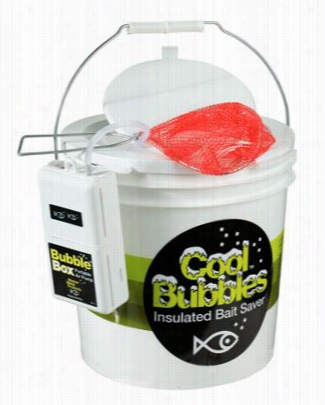 Cool Bubbleslivewell - 7.3-quart Bucjet