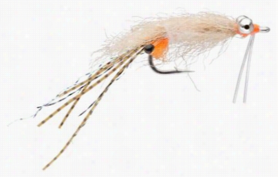 Enriico Puglisi Saltwater Fly - Spawning Shripm Bc - Tan - 4