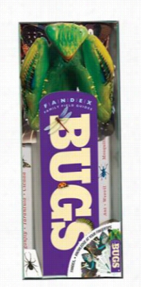 Fandex Family Field  Guides: Bugs Cards By Sarah Goodmman Ad Louis Sorkin