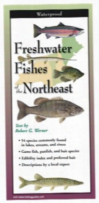 Freshwater Fiishes Of The Northeast Laminated Folding Guide By Robert Werner, Ellen Edmondson, And Hugh Crisp