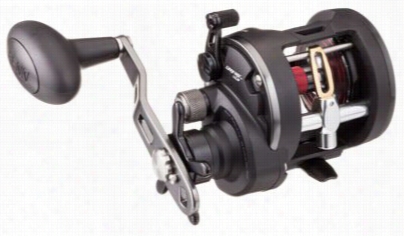 Penn Contest Lveelwind Conventional Saltwater Reel - War15lw