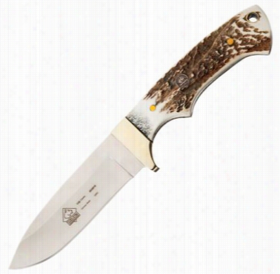 Pumz Coyote Stag Fixed Blade Knife