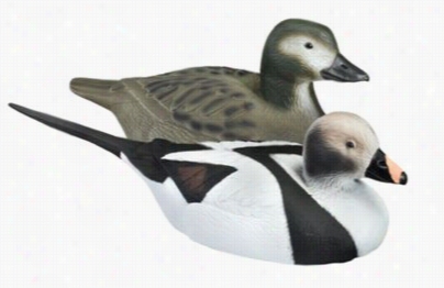 Redhead Floating Duck Decoys - Oldsquaw