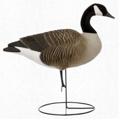 Tanglree Pro Seires Full Body Upright Canada Goose Decoys