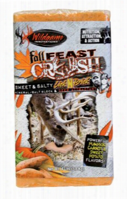 Wildgame Innovations Fall Feast Crush Salt  Block - 4 Lbs.