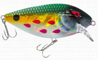 Xps Mcshad Hardbait - 2-1/2" - Bleeding Tennessee Shad