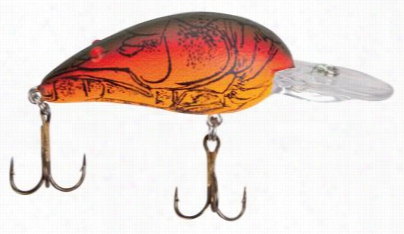 Bomber Model A Real Craw - Nest Robber