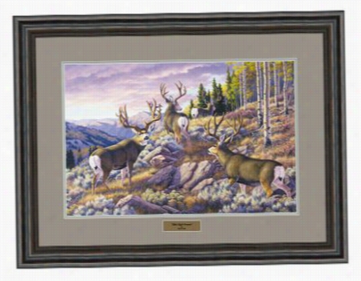 Brent Todd Framed Artwork - Imle Lofty Dreams