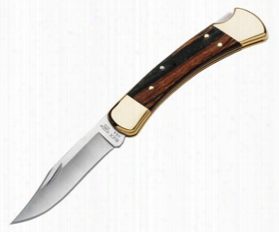 Buck 10 Folding Hunter Knife