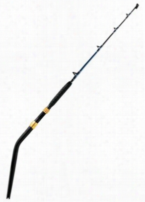 Daiwa Saltiga Dendoh-style Deep Drop Salltwater Rod