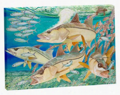 Guy Harvey Canvss Art - Sideliners