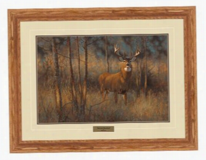 Hayden Lambson Framed Artwork - American Hearttheob