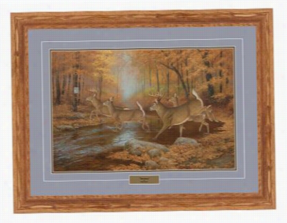 Haydeen Lambson Framed Ar Twork - Sanctuary