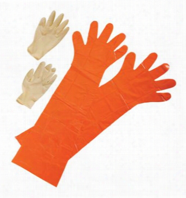 Hunters Specialties Game Cleaning Gloves