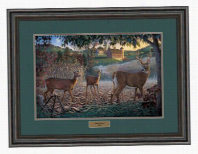 Kim Orlien Framed Artwork - F Ield Of Reams