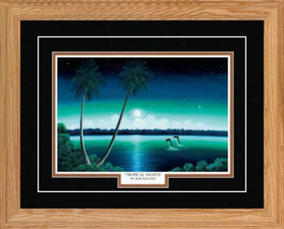 Noorthern Promotions Framed Art Tropical Nights By Jose Paulino