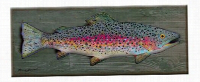 Rainbow Trout Wall Sign