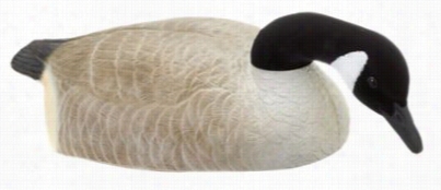 Redheaad Canada Goose Shell Decoys - Feeder Pack