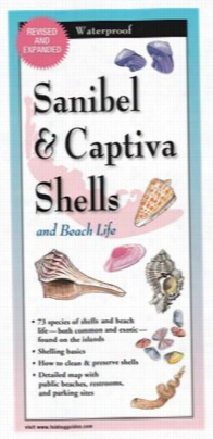 Sa Nibel & Captiva Shells And Beach Life Laminaatedd Folding Guide