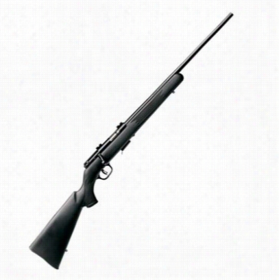 Savage 93r17 Fv Bolt-action Rimfire Rifle - 96700