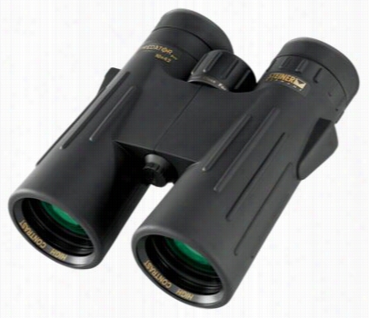 Steiner Predator Pro 10x42 Binoculars