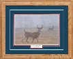 Northern Promotions Framed Art - Foggy Morning by Paul Kraft