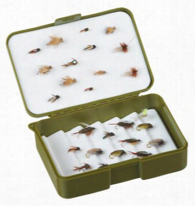 White Large Stream Fly Shop Stage Gallery Box - Olive Dr Ab Green - Small