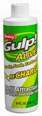 Berkley Gulp! Alive! Fish Attractant Re Charger