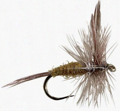 Blue Winged Olive (bwo) Flies - 21 Pwck - #20