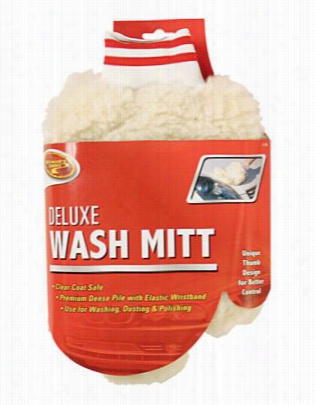 Detailer's Choice Deluxe Wash Mtit With Thumb