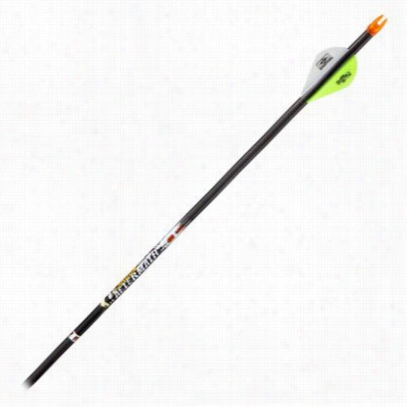 Easton Carbon  Aftermath Hunting Arrows - Size 340