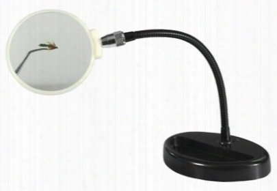 Flex Neck Magnifier