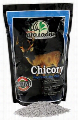 Mossy Oak Biologic Chicory Seed - 1 Lb. - Plants 1/4  Acres