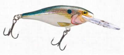 Rapala Shad Knock Harddbait - Sr09 - Shad