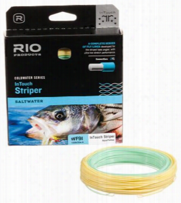 Rio Intouch Striper Intermediate Burst Line - Line Weight 8