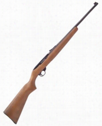 Ruger1022 Semi-auuto Rimfire Rifle  Wo Od/blued