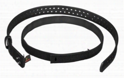 Safariland Competition Belt Combo - .175'x36'