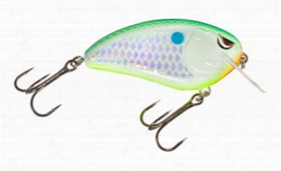 Spro Fat John 60 Crankbait - Citrus Shad