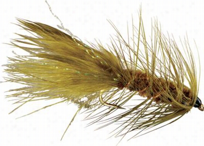 Wooly Bugger Flie S- 12 Pack - Olive - #6