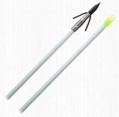 Cajun Archery Piranha  Point With Complete Arrro Set - White - Fiberglass Sshaft