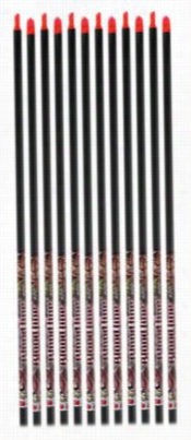 Easton Bloodline Arrow Shafts - 400