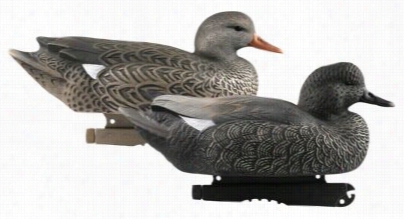 Greenhead Array Life-size Gadwall Duck Deckys-  6 Pack