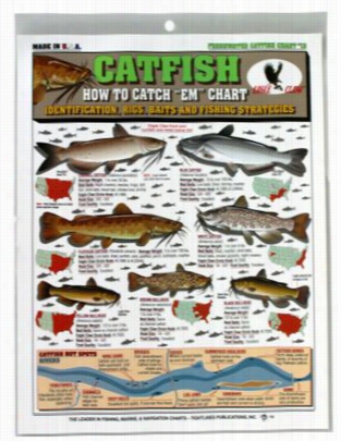 How To Catch 'em Fishing Chart - Catfissh