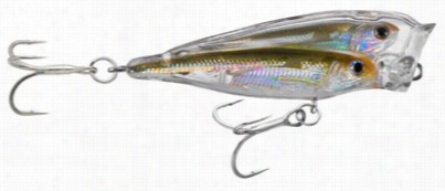 Livetarget Glass Minnow Aitball Popper - Silver /natural - 1/4 Oz.