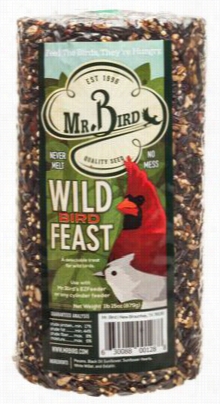 Mr. Birrd Wild Bird Feast Bird Ood Cylinder