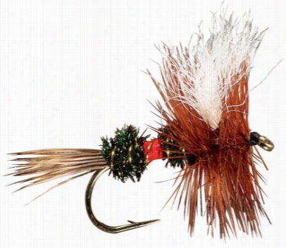 Royal Wulff Flies - 12 Pack - #12