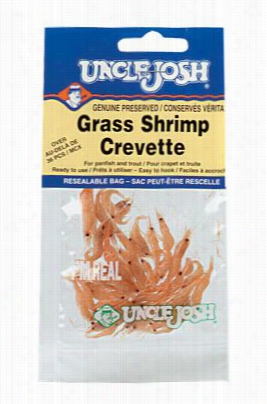 Unclee Josh  Preserved Bit - Grass Shrimp